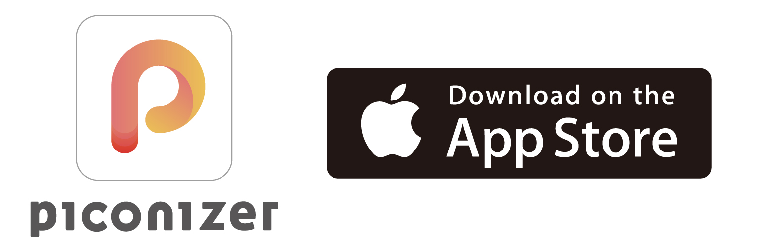 piconizer-icon2.jpg